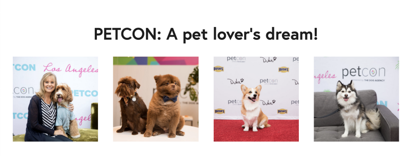 Upstream partners with PetCon to power Meet & Greets for fans to virtually meet 1 on 1 with…